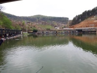 공주 큰목골낚시터 유료낚시터 > 공주 큰목골낚시터 4월22일 소식 : 낚시사랑