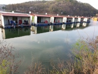 삼인낚시터 유료낚시터 > 물 맑고 힘 좋은 용인 삼인낚시터~~!!-용인 삼인낚시터- : 낚시사랑