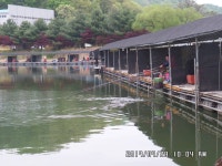 진우낚시터 유료낚시터 > 주말 조황정보.... : 낚시사랑