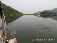 진우낚시터 유료낚시터 > 주말 조황정보.... : 낚시사랑
