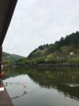 강촌낚시터 유료낚시터 > 아름다운 경치 토종붕어 강촌낚시터입니다! : 낚시사랑