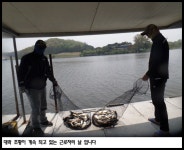 죽산지기 유료낚시터 > 아산죽산지5/2일 대박 조황이 계속 되고 있는 근로자의 날 입니다 : 낚시사랑