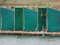 오빈낚시터 유료낚시터 > *오빈낚시터* ~~꾸준한 조황 보이고 있습니다~~ : 낚시사랑