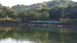 용설지 유료낚시터 > 퇴실이 늦는 시기 : 낚시사랑