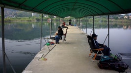 용설지 유료낚시터 > 대물이 팡팡팡! : 낚시사랑