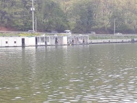 남전지기 유료낚시터 > 주말연휴 고른조황 및 방류소식! : 낚시사랑