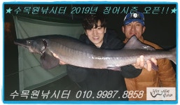 수목원낚시터 유료낚시터 > {수목원} 5월 7일(화) 농어 차량직방류&풍천민물장어&철갑상어 방류!! : 낚시사랑