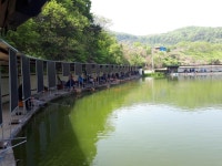 공주 큰목골낚시터 유료낚시터 > 공주 큰목골낚시터 5월7일 소식 : 낚시사랑