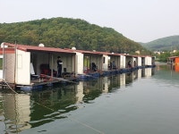 삼인낚시터 유료낚시터 > 물 맑고 힘 좋은 용인 삼인낚시터 !!-용인 삼인낚시터- : 낚시사랑