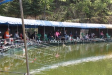 여주낚시터. 유료낚시터 > 배수없는 여주낚시터 : 낚시사랑