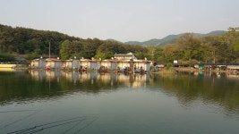 우금낚시공원 유료낚시터 > 와우~~ 대단했던 주말조황 : 낚시사랑