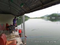 진우낚시터 유료낚시터 > 진우지 주말 조황정보... : 낚시사랑