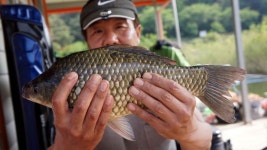 용설지 유료낚시터 > 스승을 만난 대물 : 낚시사랑