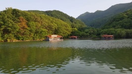중리테마파크낚시터 유료낚시터 > 5월 14일 조황 및 일상사진 : 낚시사랑