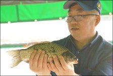 독정낚시터 유료낚시터 > 작살나게.... : 낚시사랑