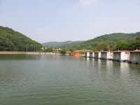 삼인낚시터 유료낚시터 > 배수기 조황~~!!-용인 삼인낚시터- : 낚시사랑