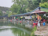 우금낚시공원 유료낚시터 > 호조황은 계속되고있습니다. : 낚시사랑