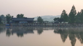 유료터정보 > 유료터점주조황 > 배수 없는 안성 거청낚시터 5월 24 일 유료터정보 > 유료터점주조황 >  배수 없는  안성  거청낚시터     5월  24 일