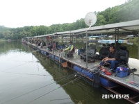 아산신수 유료낚시터 > 아산신수지 5월 넷째 주말 화보입니다.^^ : 낚시사랑