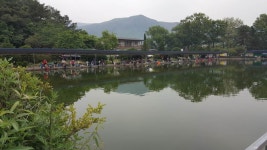 우금낚시공원 유료낚시터 > 꾸준했던 주말조황 : 낚시사랑