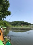 강촌낚시터 유료낚시터 > 아름다운 경치 토종붕어 강촌낚시터입니다! : 낚시사랑