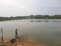 내곡지 유료낚시터 > 내곡지 조황정보 : 낚시사랑