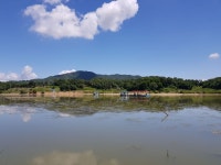 삼성지낚시터 유료낚시터 > 삼성지낚시터 주말조황 : 낚시사랑