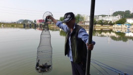 유료터정보 > 유료터점주조황 > 배수 없는 안성 거청낚시터 붕어조황 6월 4 일 유료터정보 > 유료터점주조황 >  배수 없는  안성  거청낚시터... 