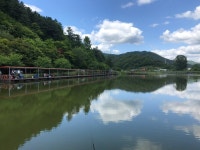 강촌낚시터 유료낚시터 > 아름다운 경치 토종붕어 강촌낚시터입니다! : 낚시사랑