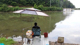 큰골낚시터 유료낚시터 > 큰골낚시터 조황입니다~~~ : 낚시사랑