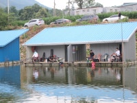 초원낚시터 유료낚시터 > &&&***성제현프로님의향붕어낚시방법***&&& : 낚시사랑