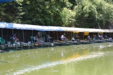 여주낚시터. 유료낚시터 > 여주 주중 주말~~~~~~ : 낚시사랑