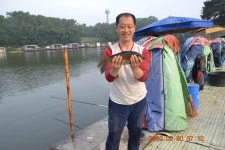 고담낚시터 유료낚시터 > 향어조황 대박 + 붕어조황 대박조황 : 낚시사랑