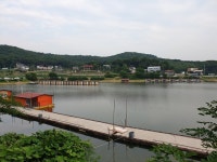 삼인낚시터 유료낚시터 > 모두 손맛 보셨습니다~~!!-용인삼인낚시터- : 낚시사랑