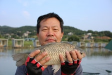 내동지 유료낚시터 > *** 내일부터 *** : 낚시사랑