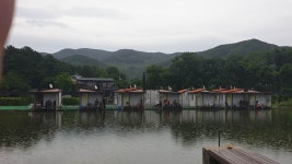우금낚시공원 유료낚시터 > 주중조황안내 : 낚시사랑