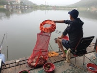 삼인낚시터 유료낚시터 > 삼인낚시터 주말 조황 ~~!!-용인 삼인낚시터- : 낚시사랑