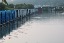 내동지 유료낚시터 > *** 대박 이벤트 대박 4짜 *** : 낚시사랑