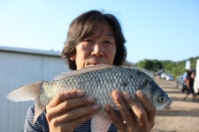 내동지 유료낚시터 > *** 대박 이벤트 대박 4짜 *** : 낚시사랑