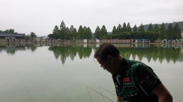 안성 거청낚시터 유료낚시터 > 배수없는 거청낚시터 7 월 24 일 붕어조황 : 낚시사랑