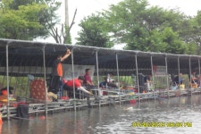 당골낚시터 유료낚시터 > ~~~조황정보~~~ : 낚시사랑