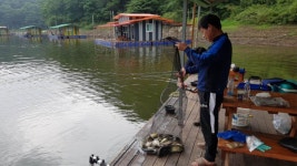 중리테마파크낚시터 유료낚시터 > 중리테마파크낚시터 7월 24일 조황입니다. : 낚시사랑