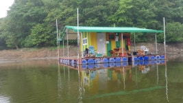 중리테마파크낚시터 유료낚시터 > 중리테마파크낚시터 7월 25일 조황입니다. : 낚시사랑