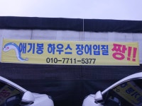 애기봉낚시터 유료낚시터 > 장어낚시의 본가 : 낚시사랑