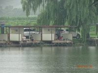 오빈낚시터 유료낚시터 > ***주말 조황정보 및 방류소식 전합니다**** : 낚시사랑