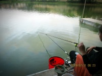 반제지 유료낚시터 > 조황좋지만 더방류 오늘도대방류합니다 반제지 : 낚시사랑