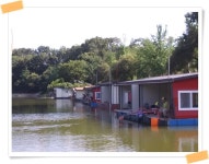 양평수곡낚시터 유료낚시터 > 피서 힐링 수곡낚시터 주말 붕어낚시 호조황속에 전체적으로 고른 조과가 나와줍니다 : 낚시사랑