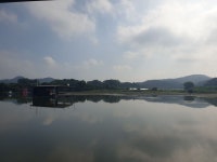 내곡지 유료낚시터 > 내곡지 조황정보 : 낚시사랑