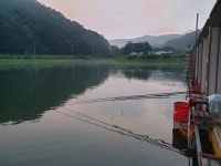 삼인낚시터 유료낚시터 > 휴가철 가깝고 편안한 낚시터-용인삼인낚시터- : 낚시사랑