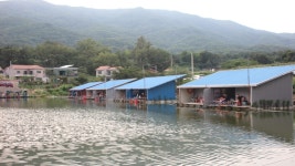 초원낚시터 유료낚시터 > ***8월5일조황소식*** : 낚시사랑